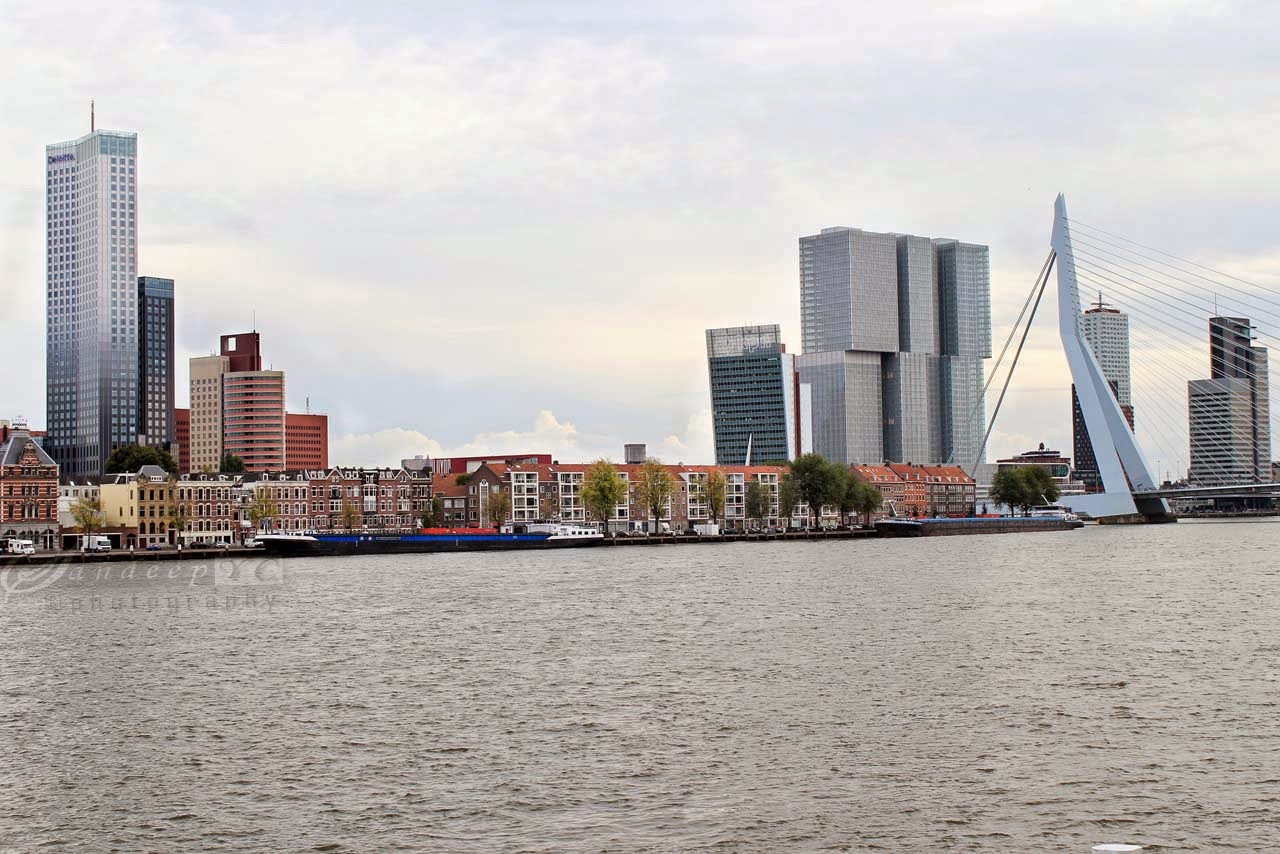 panoramic view of the skyscrapers of Kop Van Zuid