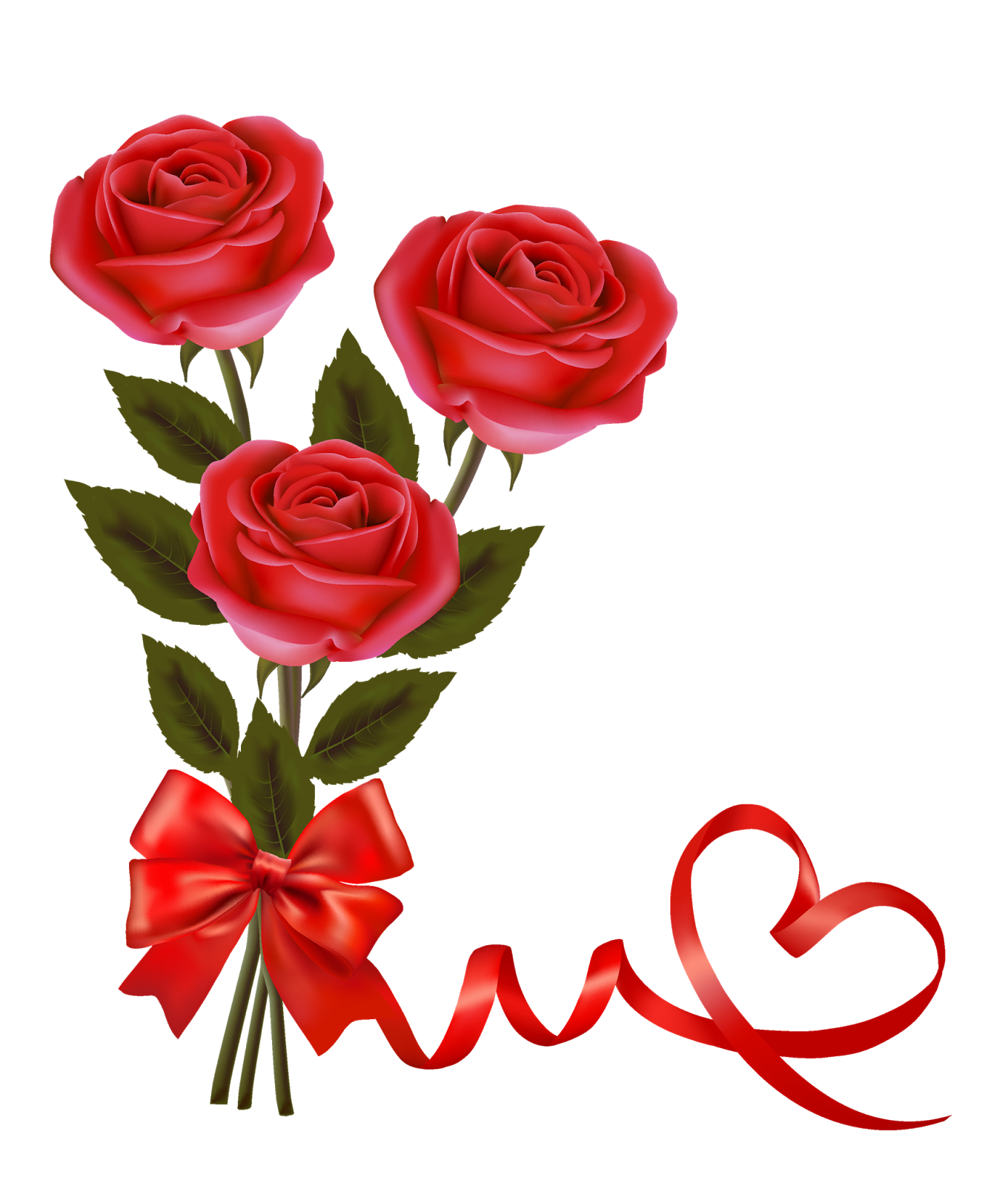 Red Rose Png Hd Shan Studio