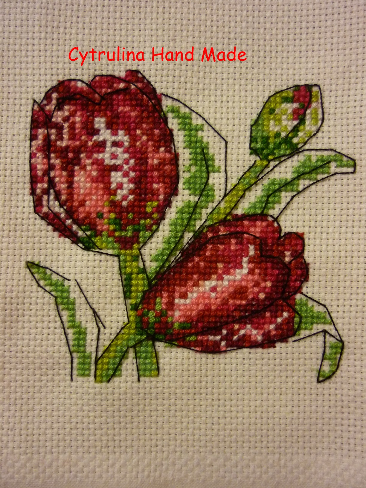 P1130632 - Kwiatowe karteczki - tulipany i róże