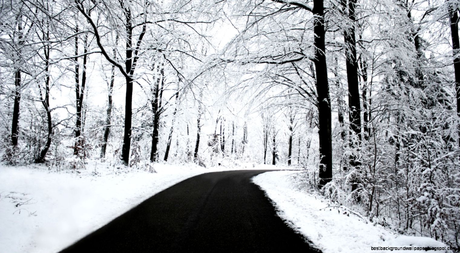 winter – Performance Auto Express