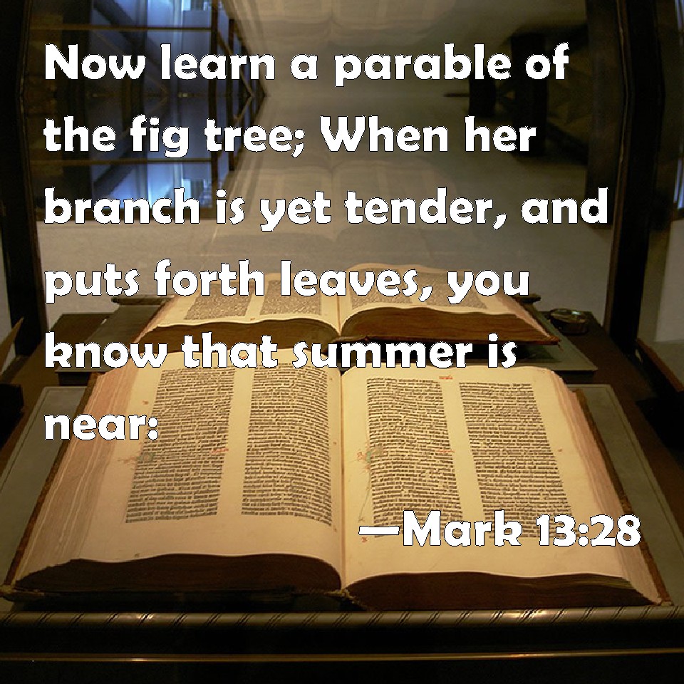Reformed Baptist Blog Parable of the Budding Fig Tree (Mark 132831
