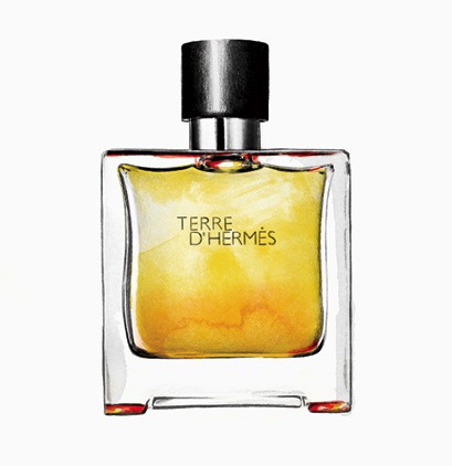  Terre D' Hermès Fragrance