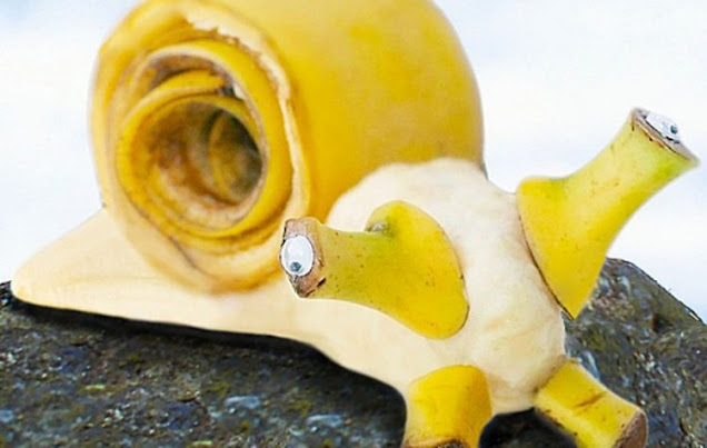 Μπανάνες: Εκπληκτικά φρούτα