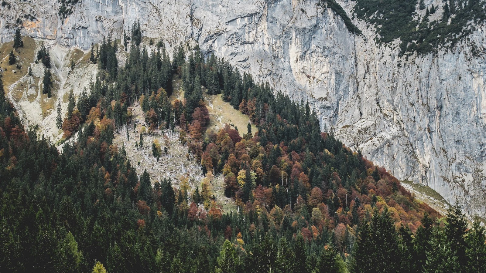 Rocky Mountain Autumn Pictures Desktop Wallpaper