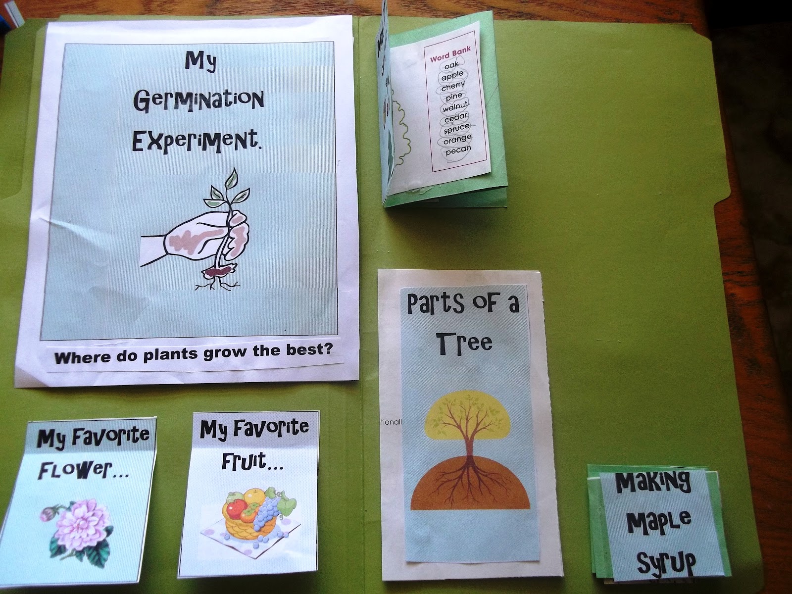 Plant Science Lapbook and Unit study Piwi Kids