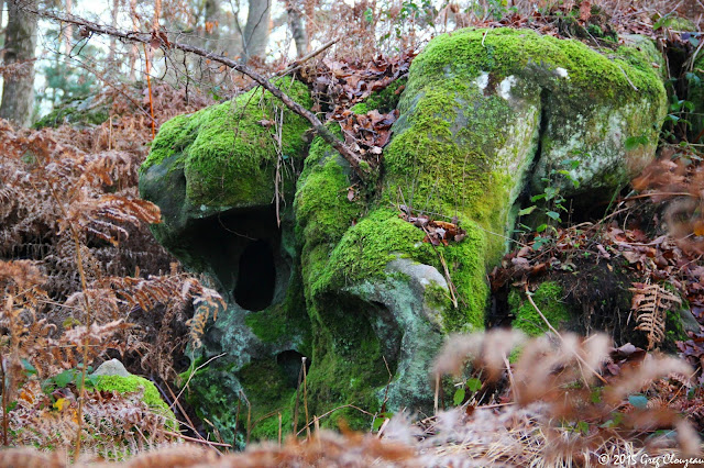 Crâne vert, Mont Ussy, Fontainebleau, (C) 2015 Greg Clouzeau