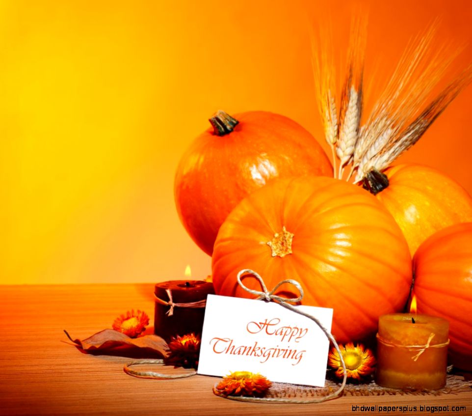 GotoBus Blog Travel on a Budget