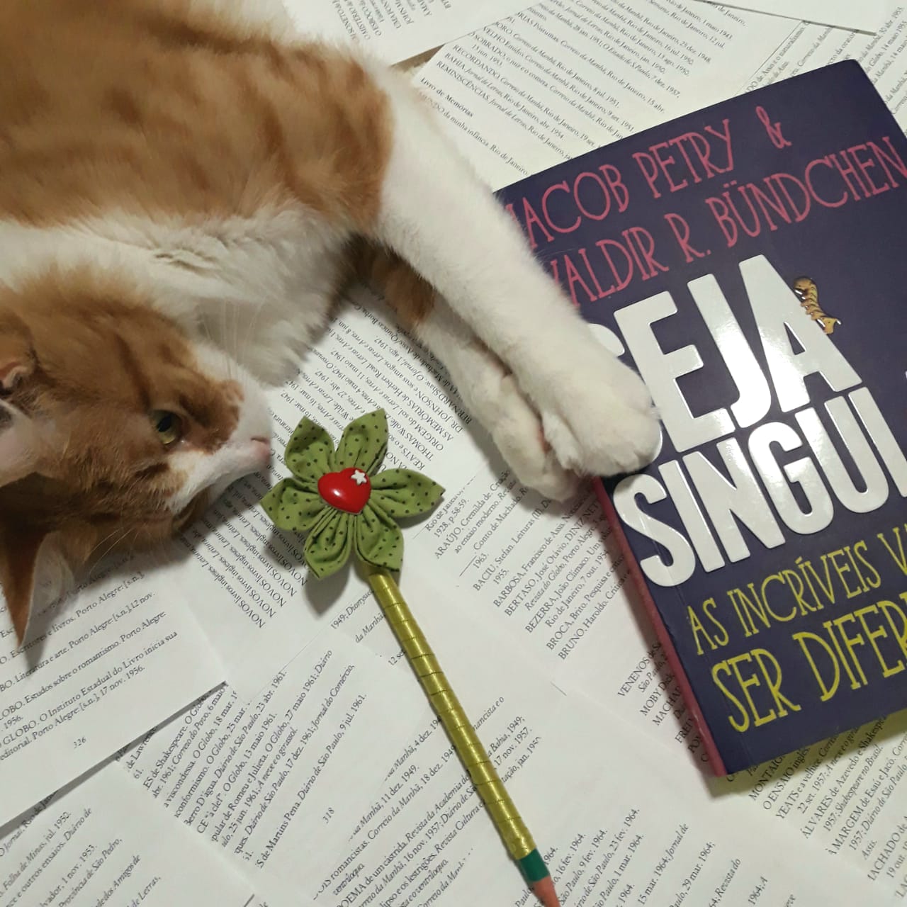 Seja singular, Jakob Petry e Valdir R. Bundchen - Minha velha estante