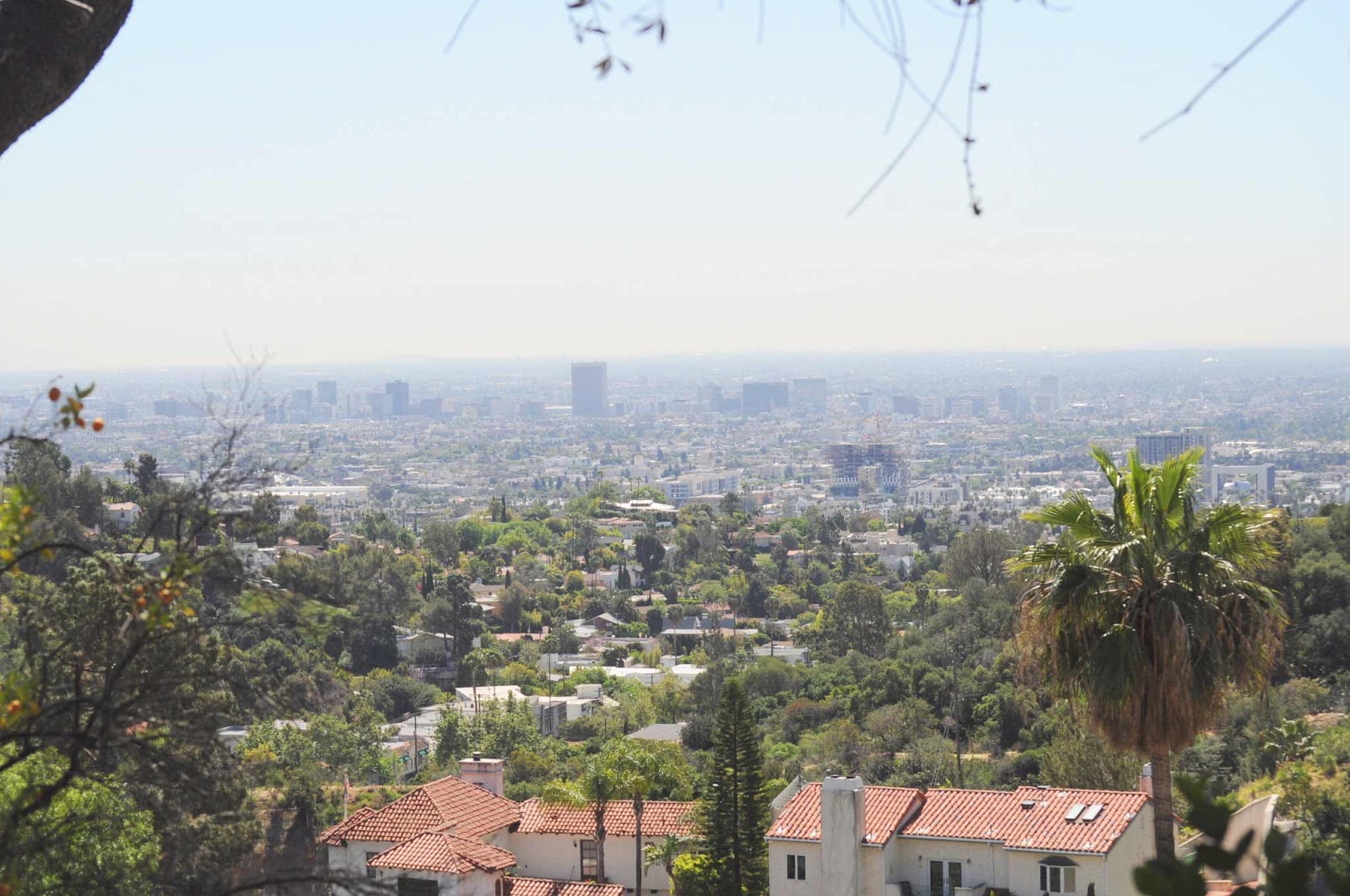 Un sendero de estrellas en Hollywood | Una antología de aventuras