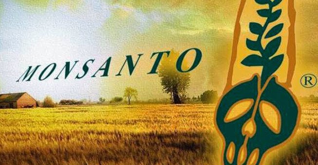 Τα 12 χειρότερα προϊόντα που έχουν φτιαχτεί από τη Monsanto Τα 12 χειρότερα προϊόντα που έχουν φτιαχτεί από τη Monsanto