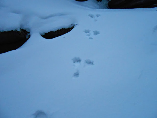 Следы у Каменных ворот