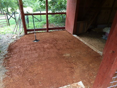 Packed red clay under the goat barn overhang.