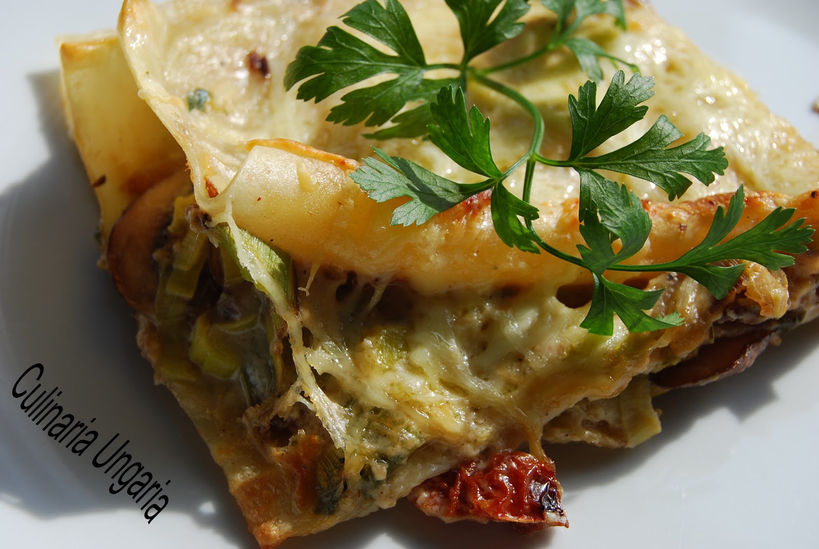 Culinaria Ungaria: Lasagne mit Champignons und Porree