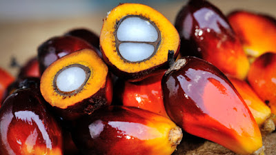 Comunicado sobre el aceite de palma y ácido palmítico en la alimentación infantil