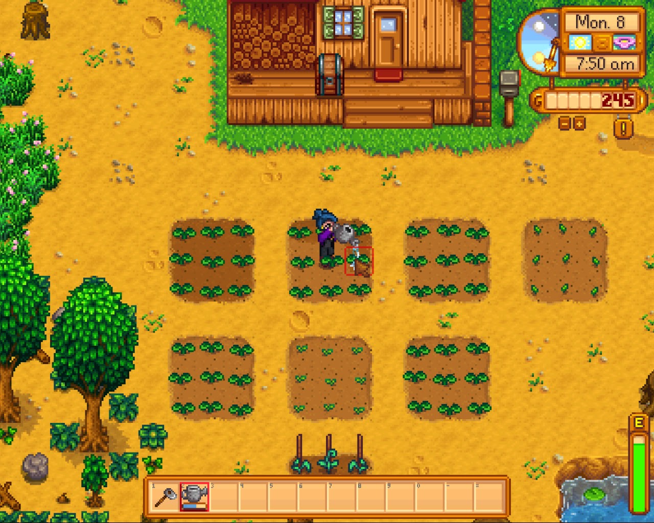 Stardew valley карп. Вилли стардью. Ферма на реке stardew valley. Stardew valley хлев. Stardew valley фруктовые деревья.
