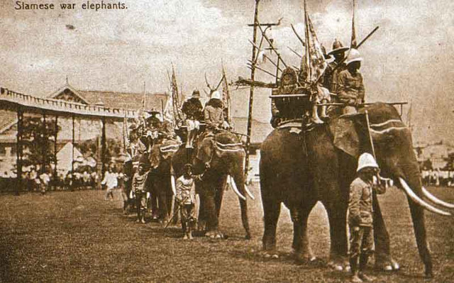 Сиамские боевые слоны на рубеже XIX–XX веков
