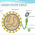 Lassa Fever Death Toll Rises To 75, 25 New Cases Confirmed