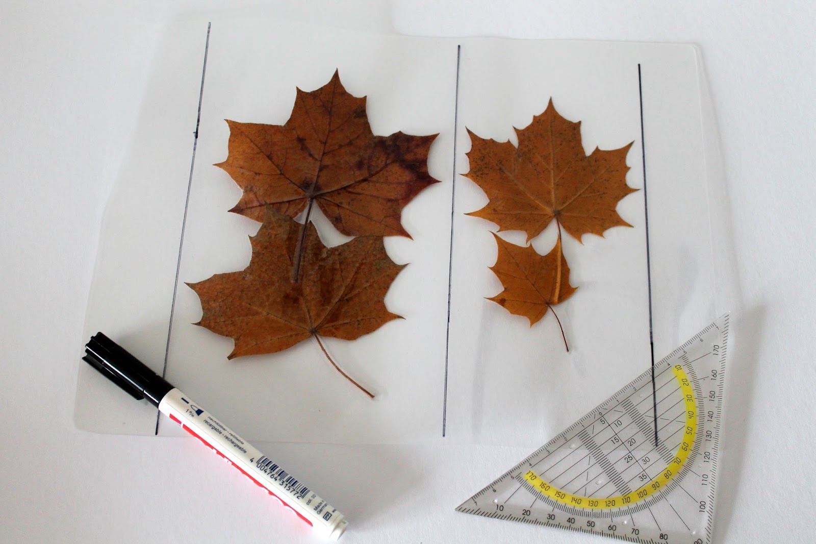 DIY Buchlesezeichen mit Herbstblättern aus Laminierfolie - DIYCarinchen