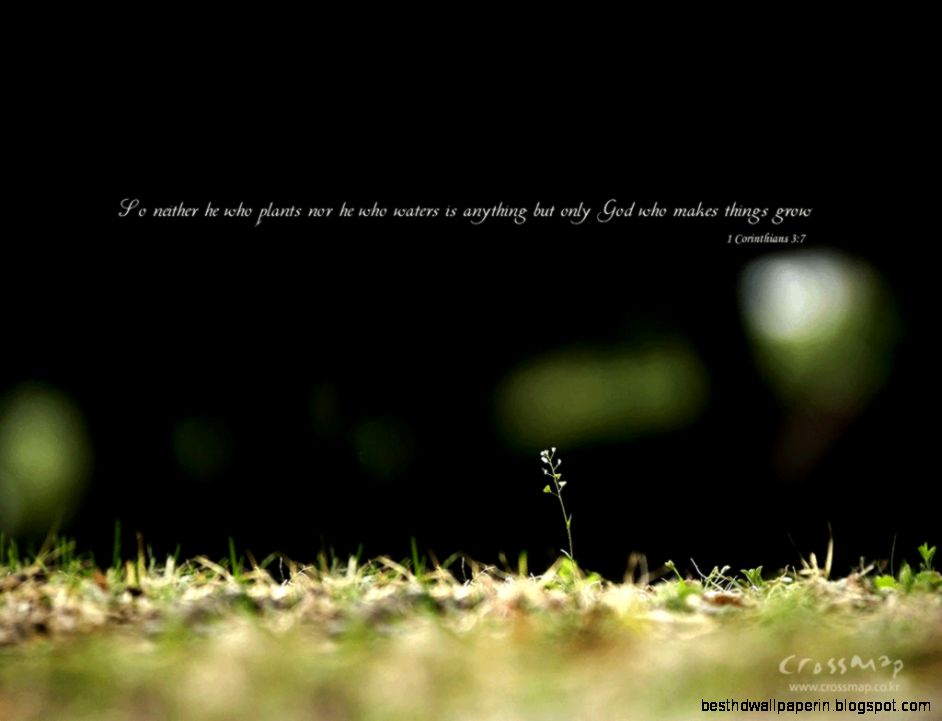 scenery wallpaper with Bible verses 1024x768 NO26 Desktop