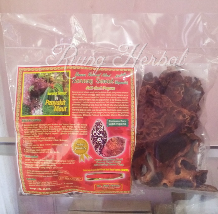 Sarang Semut Papua | Toko Herbal Online | Herbal Murah Bandung