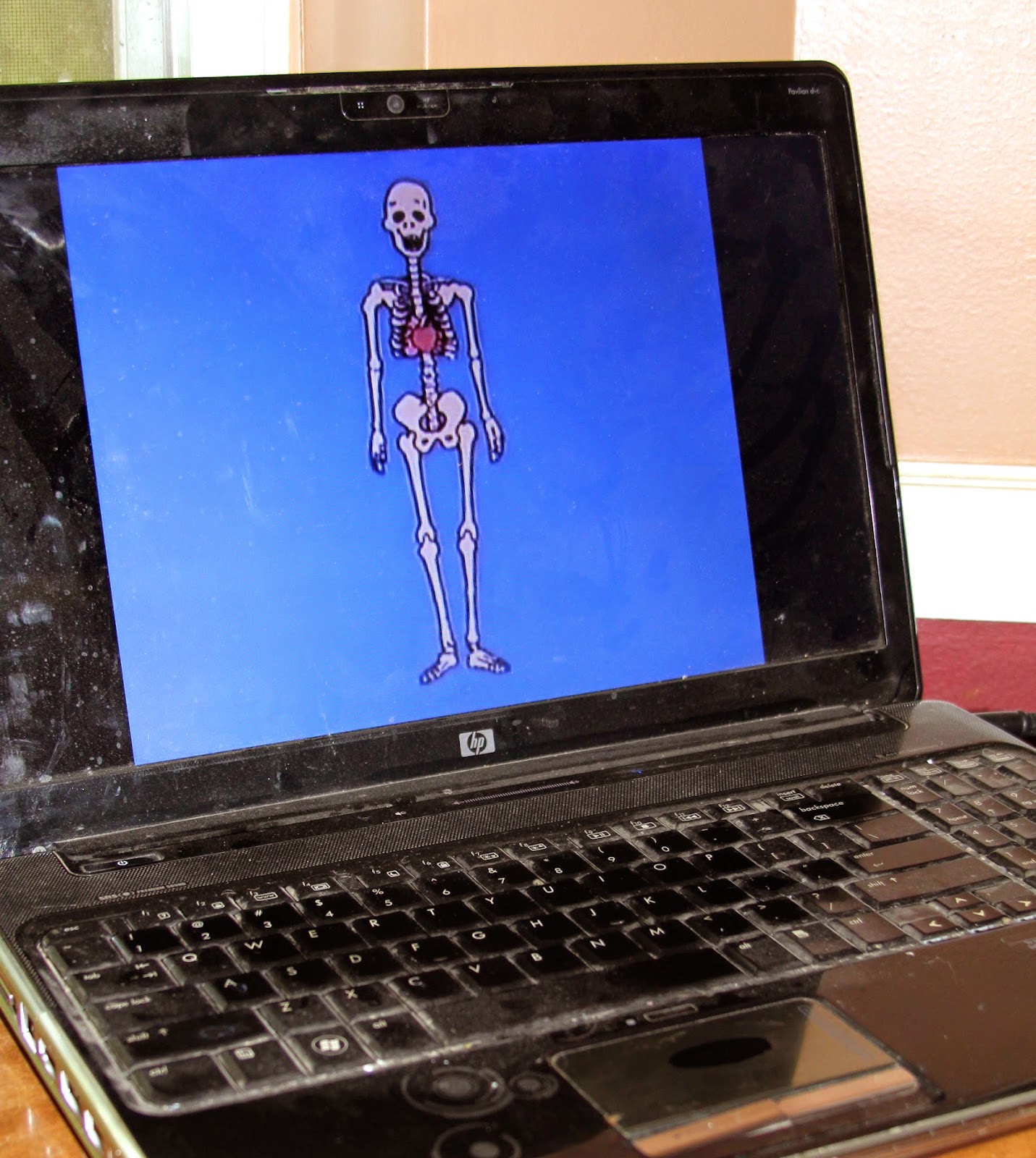 The Fantastic Five: Dem Bones, Dem Bones (Skeletal System Activities)