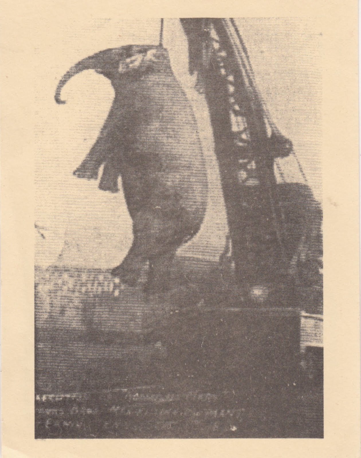 Elephant Mary Ececution Story قصة إعدام الفيلة مارى روهاك