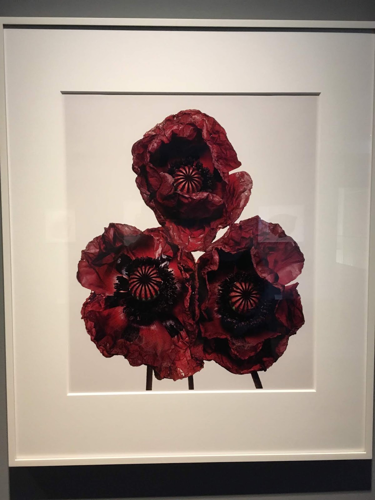 Theaterliebe Mai 2018