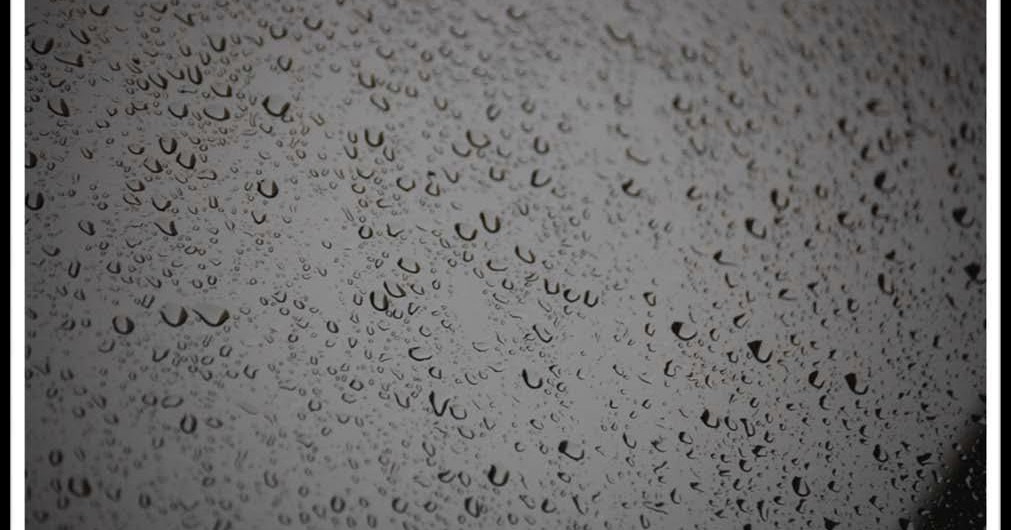 Homenaxe a Carlos Casares