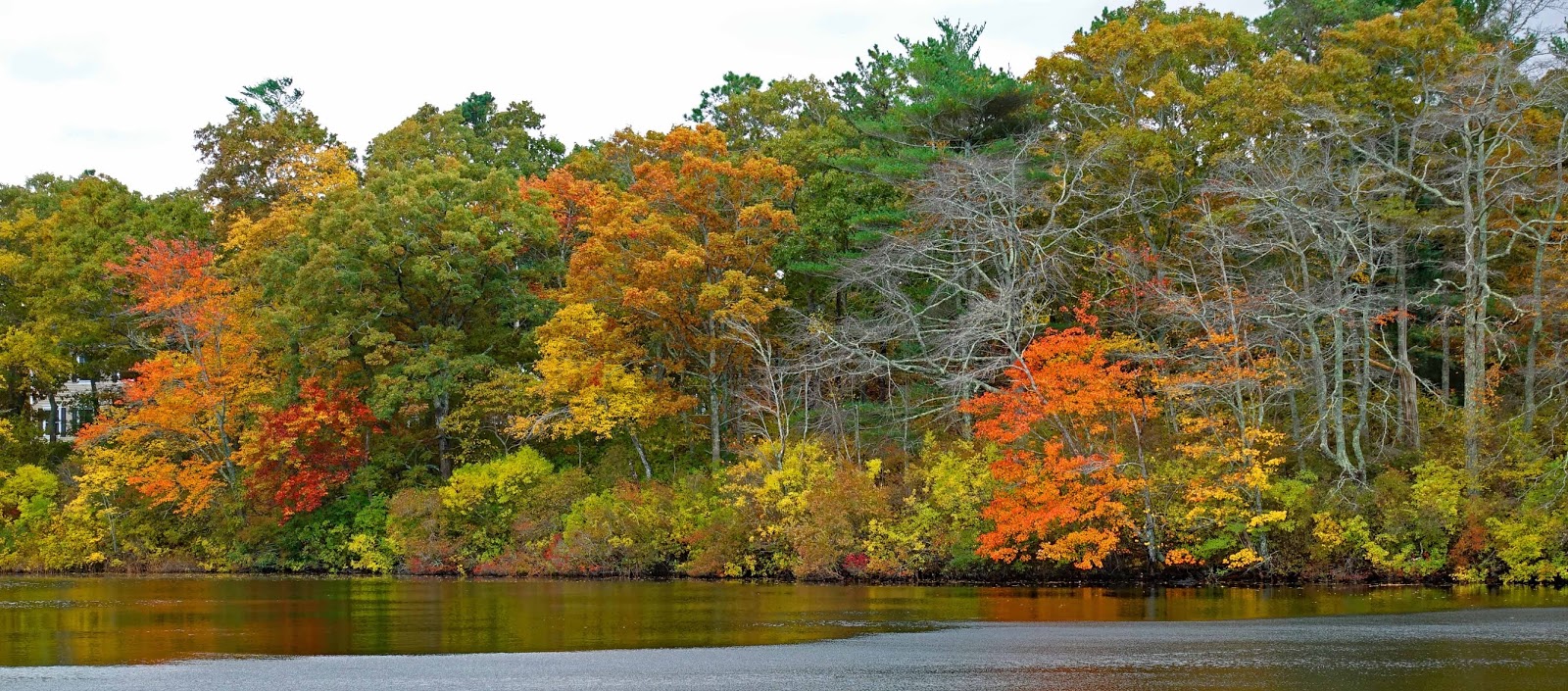 Joe's Retirement Blog Fall on Rabbit Pond, Manomet, Plymouth