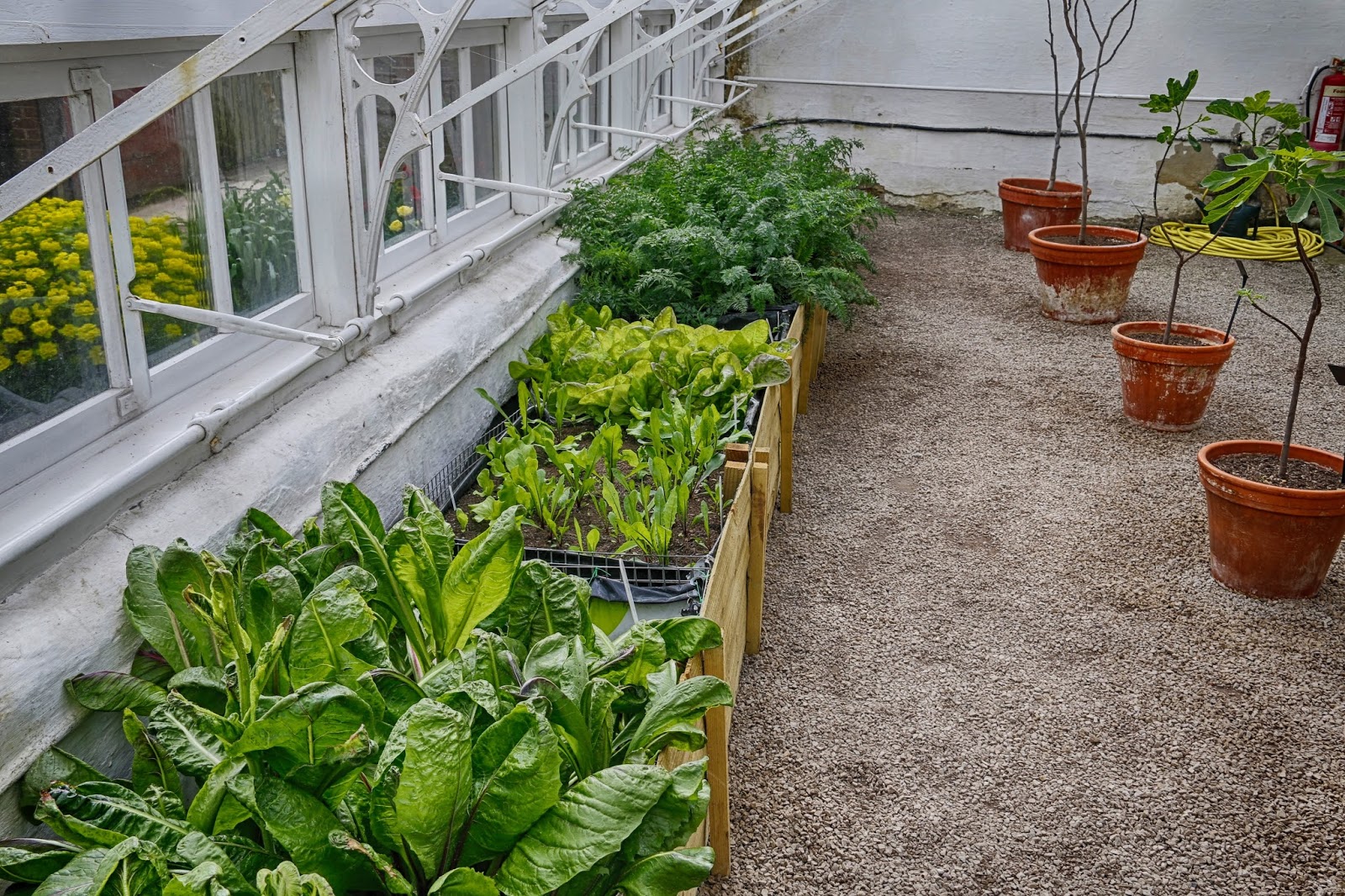 JibberJabberUK Walled Kitchen Garden at Clumber Park in April