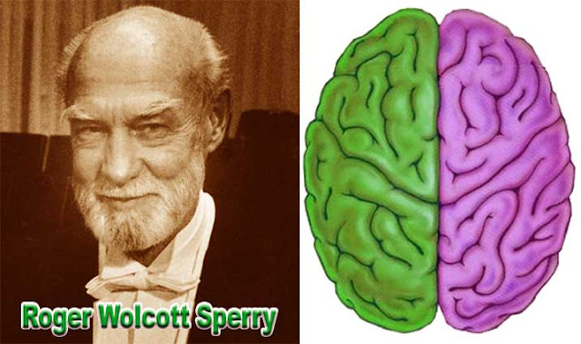 Roger w. Sperry inventor left brain and right brain
