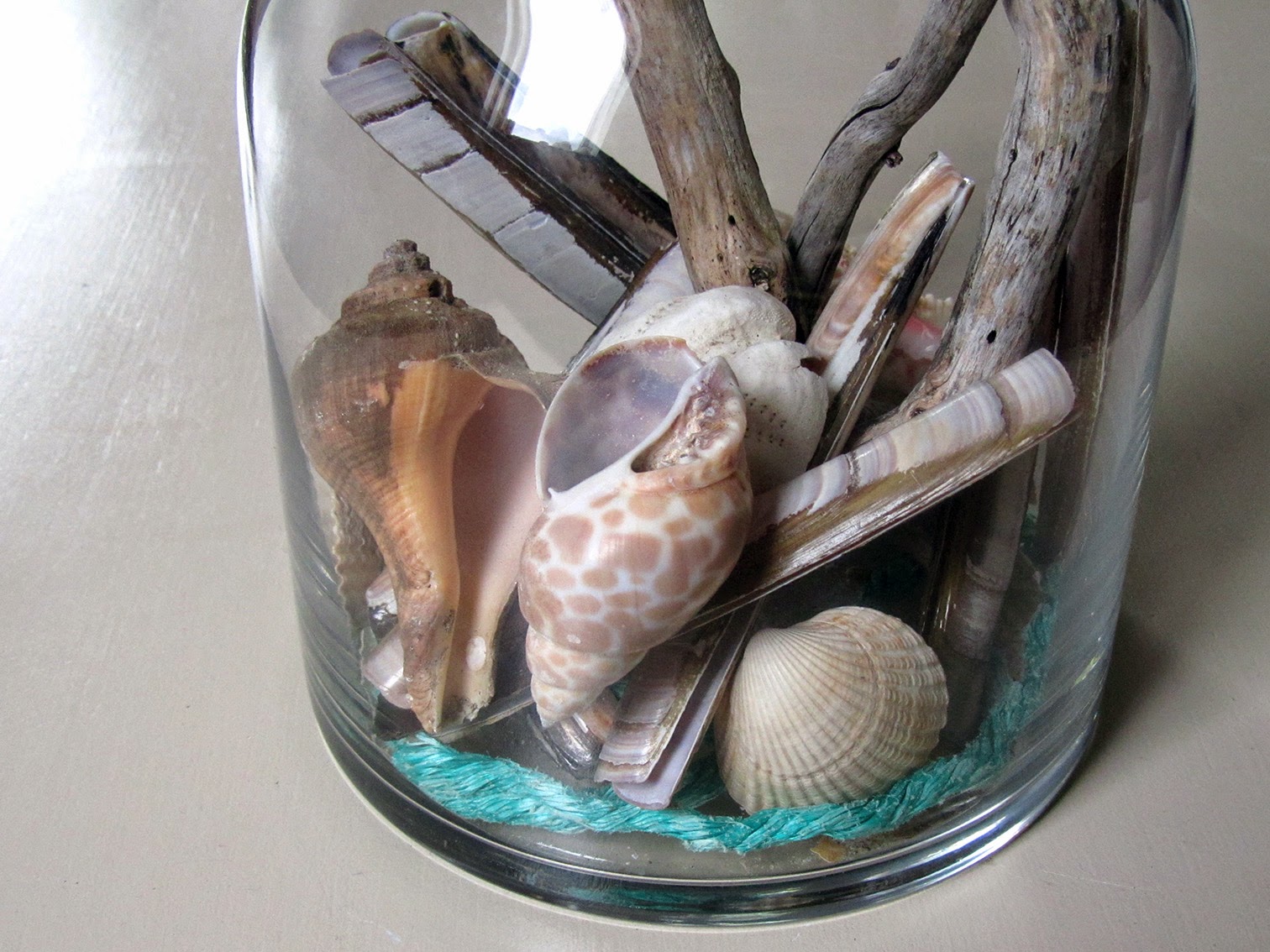 sea shells in a glass jar