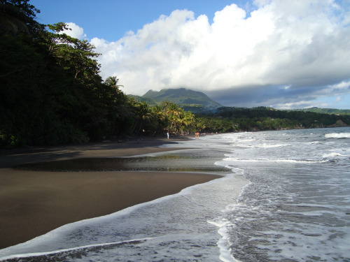 La Basse Terre Luxuriante A Caribbean Girl Lifestyle