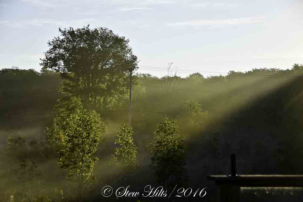 Global Etiquette Guide to