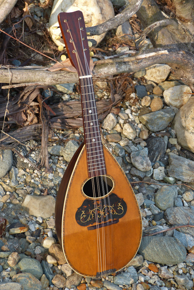 1890s Lyon & Healy Bowlback Mandolin