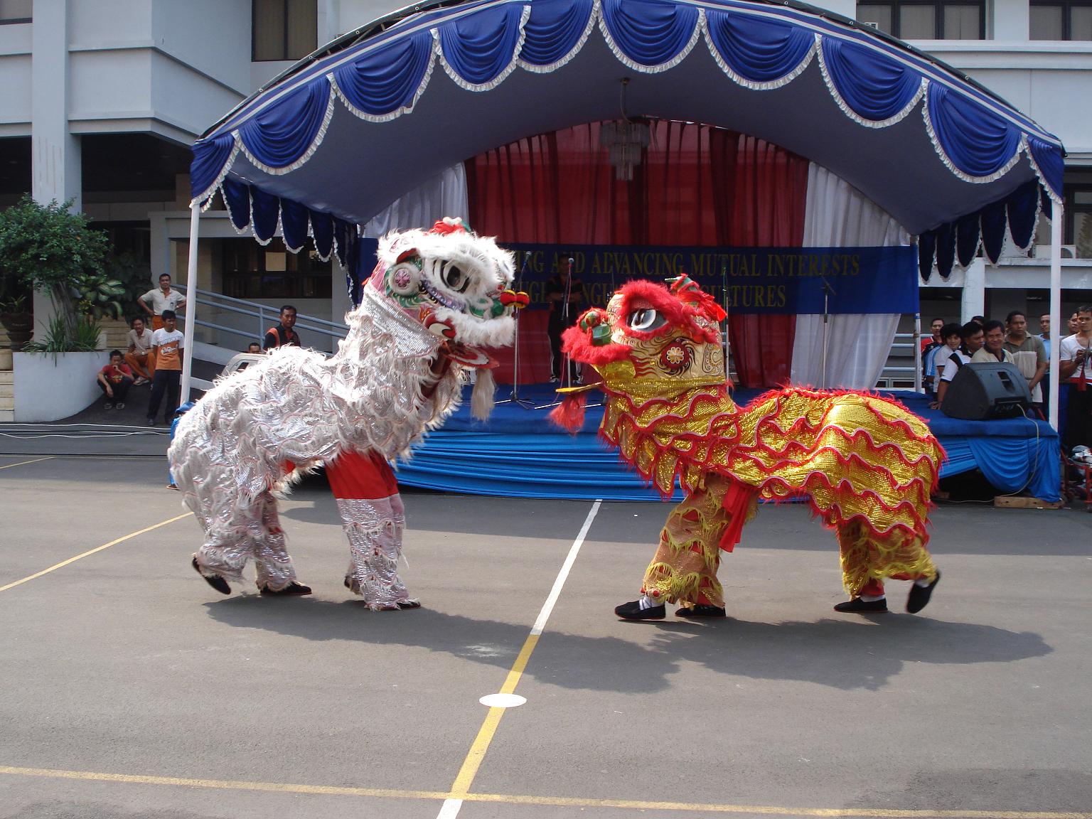 BBCnews: Millions prepare to celebrate Chinese Lunar New Year