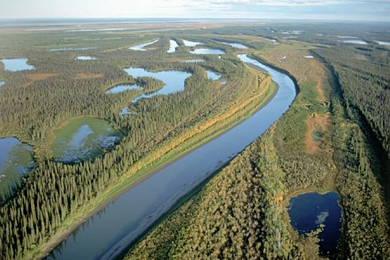 Какое питание имеют реки юкон и маккензи. Дельта реки Маккензи. Река Маккензи Канада. Устье реки Маккензи. Устья реки Маккензи.