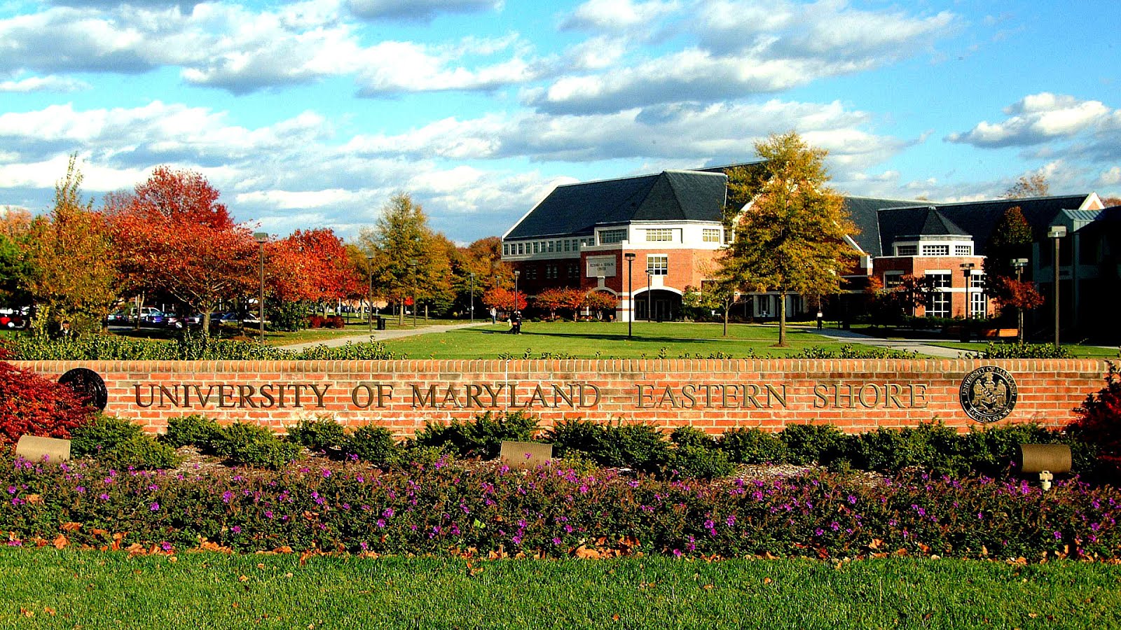 University Of Maryland University College Acceptance Rate - University