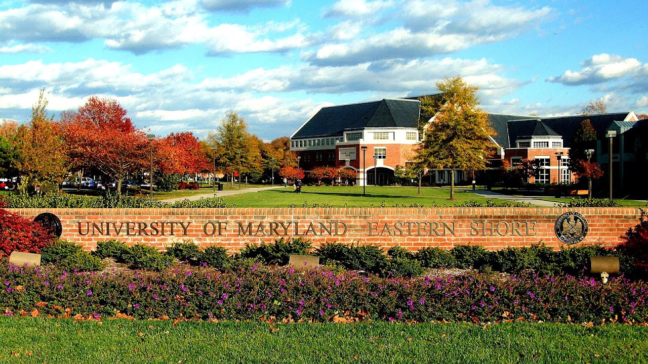 University Of Maryland University College Acceptance Rate - University  Choices