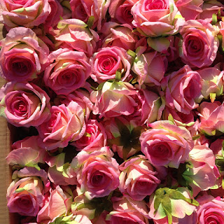गुलाब का फूल की जानकारी, गुलाब की कलम, गुलाब का फूल फोटो, गुलाब की देखभाल, गुलाब लगाने की विधि, गुलाब की उन्नत खेती, गुलाब की कटिंग, गुलाब के बीज, गुलाब के फायदे