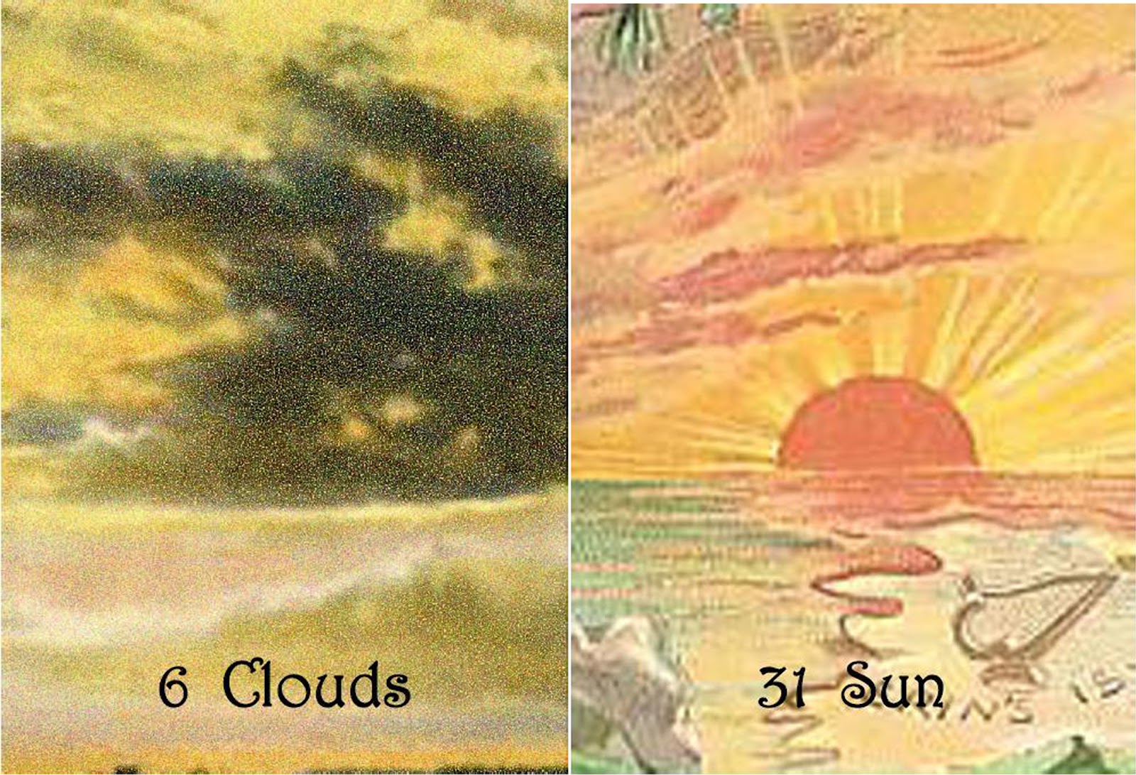 Marcia McCord Tarot Reader After Clouds Sunshine