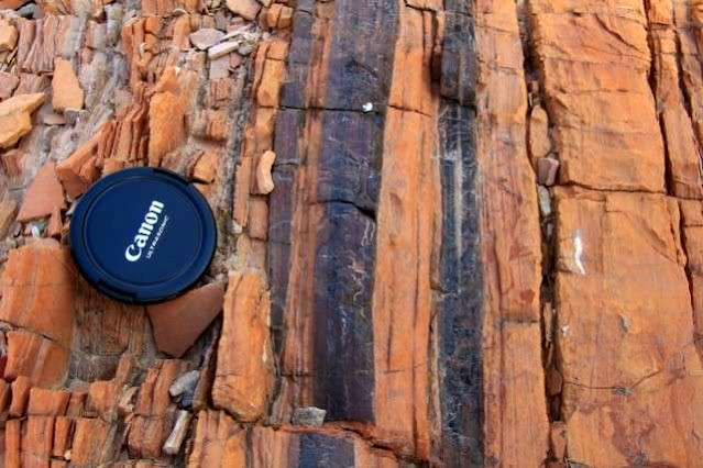 Ancient Rocks Reveal How Earth Recovered From Mass Extinction