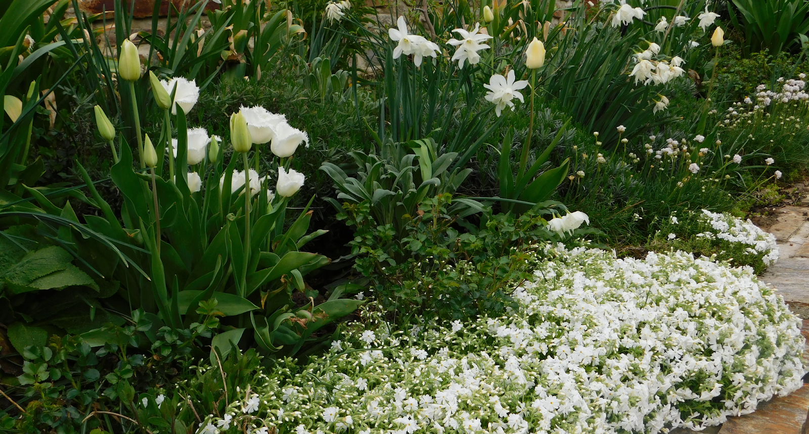 Gartenvorstellung 5 Teil 2 Die Beetanlangen An Der Sudseite Des