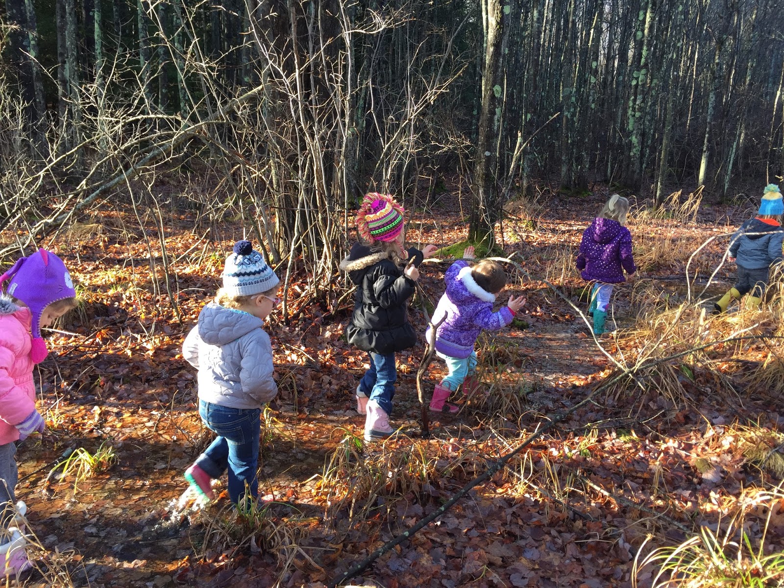 What is a Nature-based Preschool?