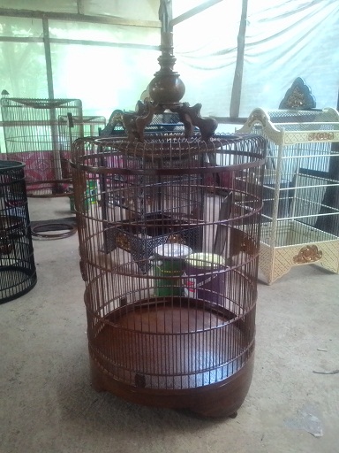 Harga Sangkar Burung Kacer Ukiran 0 Sragen