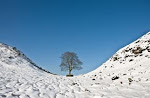 Sycamore Gap, Hadrian's Wall