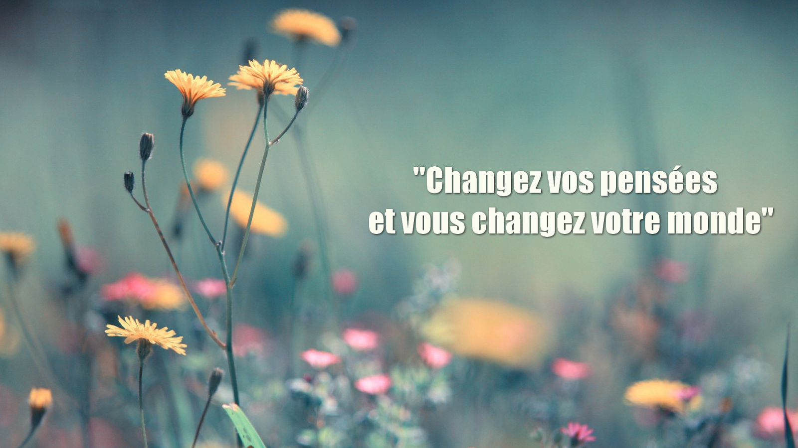 citation pensée changez votre monde