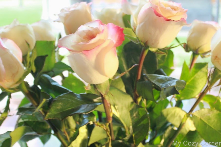 My Cozy Corner: Saturday Roses