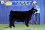2013 National Western Stock Show