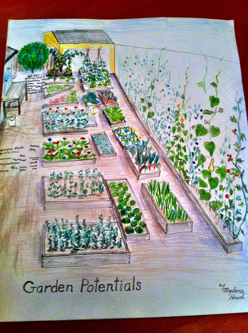 A Vision for the Lewis Garden